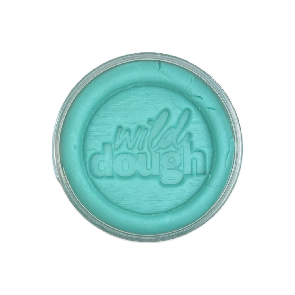 Wild Dough - Scented Playdough Pottle in Seaglass Teal. Round jar of dough with logo printed in the dough